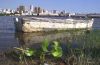 bahiadeasuncion34uu[1]_20071016092012_.jpg