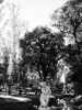 Filename=garden_of_the_seldarine_by_MAXIMOMIXAM.jpg
Filesize=419KB
Dimensions=1200x1600
Date added=Nov 07, 2007 garden_of_the_seldarine_by_MAXIMOMIXAM.jpg