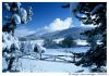 Filename=Abant1.jpg
Filesize=42KB
Dimensions=417x292
Date added=Jun 17, 2008 Abant1.jpg