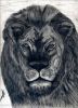 Filename=leonn.jpg
Filesize=80KB
Dimensions=472x650
Date added=Jul 24, 2008 leonn.jpg